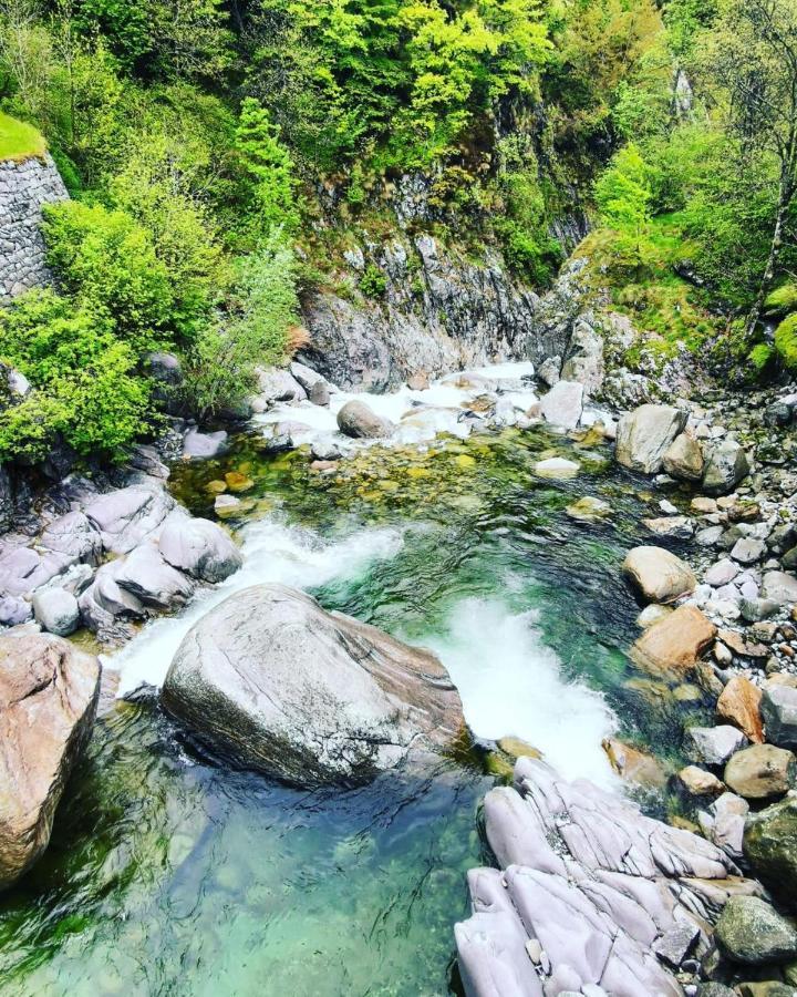 B&B Oasi Fiorita Trivero Экстерьер фото